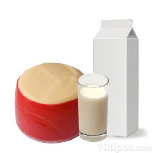 Queso y leche, ejemplo de Carbohidratos Monosacáridos