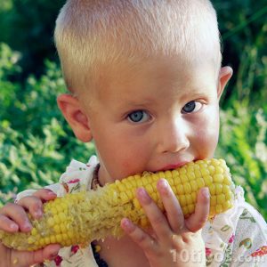 Niño comiendo maíz