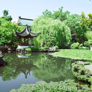 Jardín estilo japonés con estanque