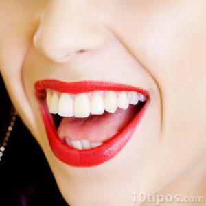 Boca abierta de mujer con los labios pintados